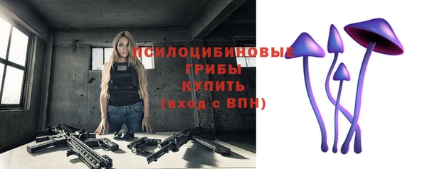 дурь Алексеевка